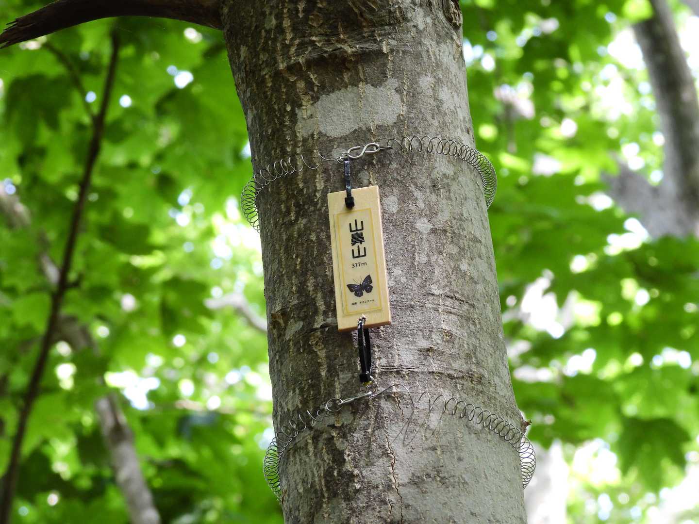 小さい看板発見
