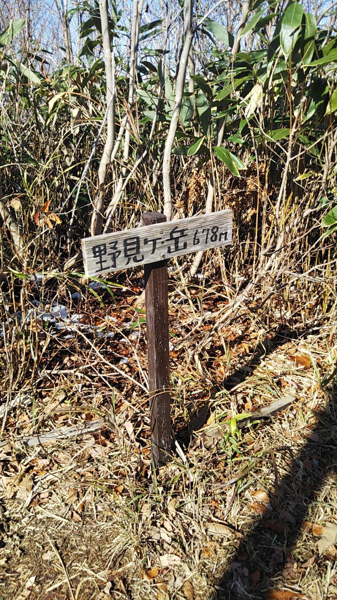野見ヶ岳に登頂👍️
また福井県のお山制覇に近づきました🙋