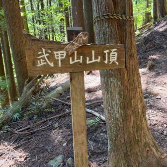 ねこねこ