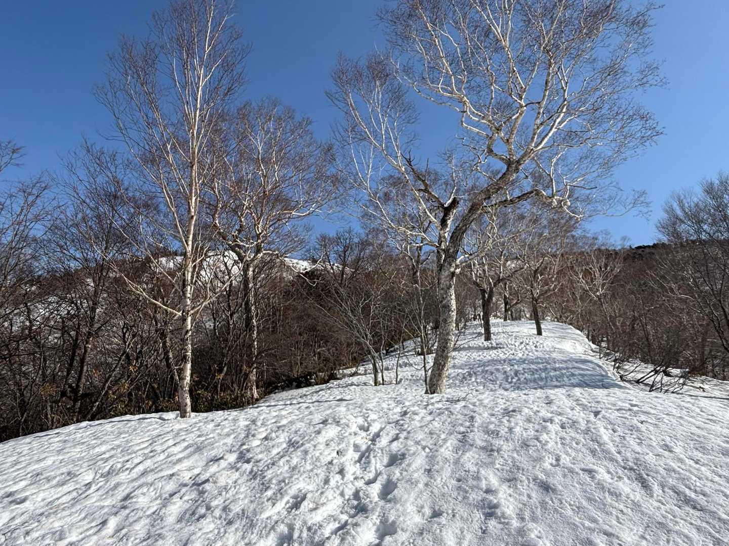 すっかり晴れて☀️