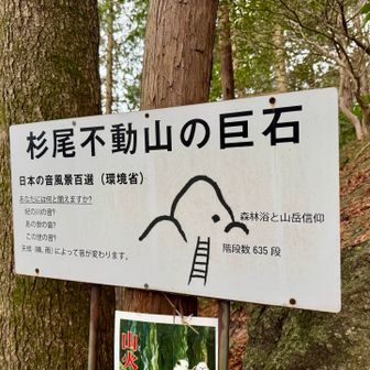 スタートから
いきなり階段やったのを
６年経って忘れてた···

635段もあるんやったら
横の回り道で行けばよかった🌀

この看板
スタート地点にも
立てとってください···
🥵💦