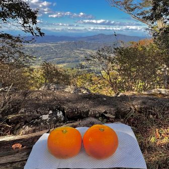 せっかく眺望が良いので…みかん休憩🍊
自宅近くの市場で買ったみかん、甘くて美味しい💕
みかんも美味しい季節になってきたのね〜☺️