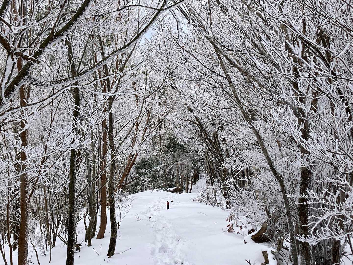 白馬山 周回コースの写真