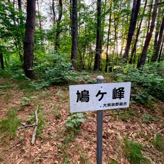 最後のピーク！