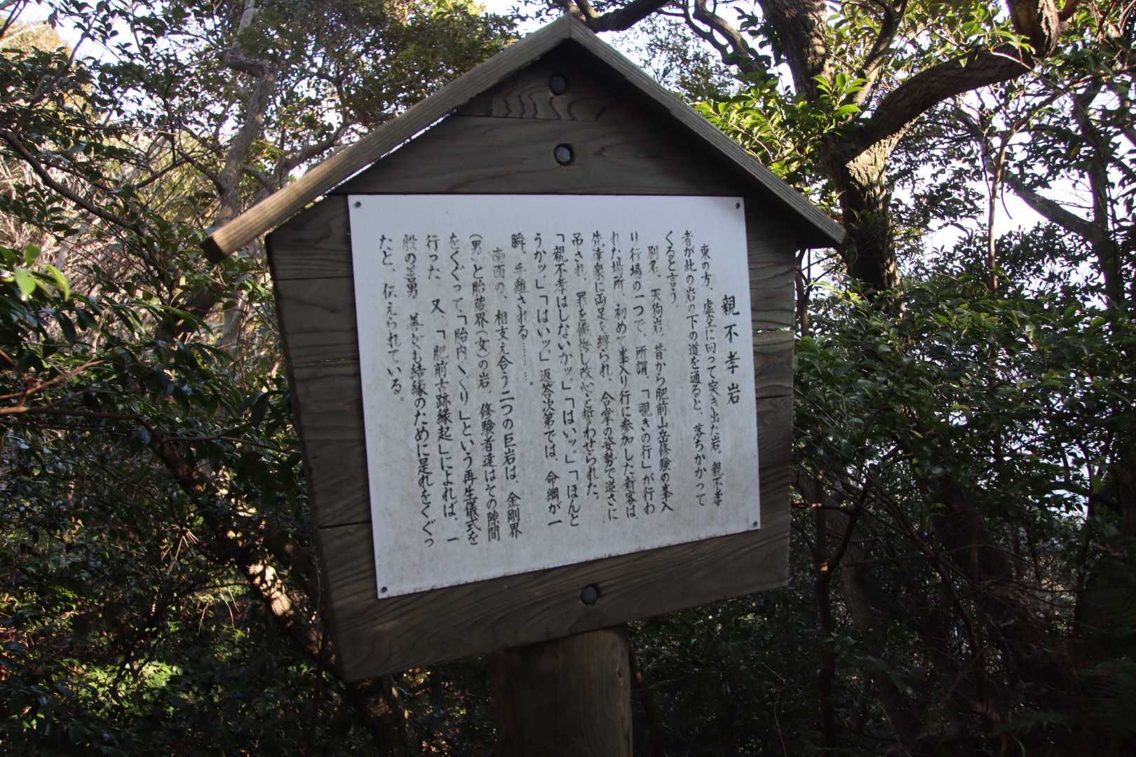 世界一親不孝だから私の足に落ちると。