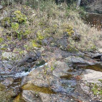 柚の木峠の安濃ダム側は、渡渉や整地された昔の集落跡？を通る見どころあるルートですが、あまり歩かれていない感じでした。