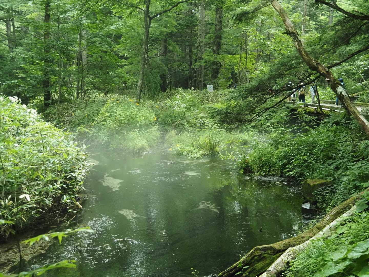 水が冷たいのか水面には霧が