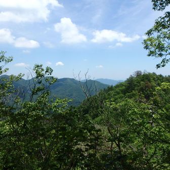 展望は、歩いてきた大前山方面