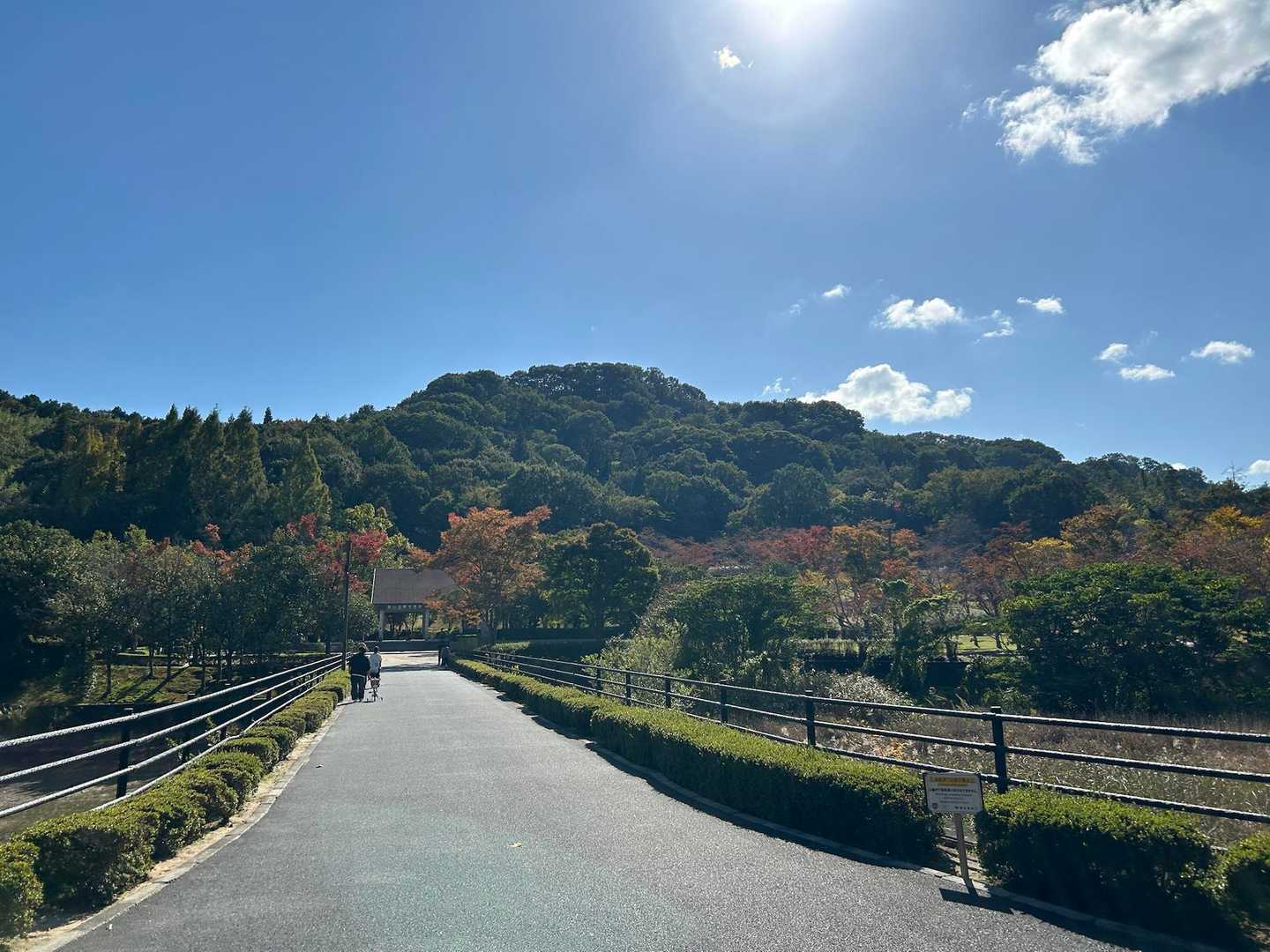 さてここから鏡山