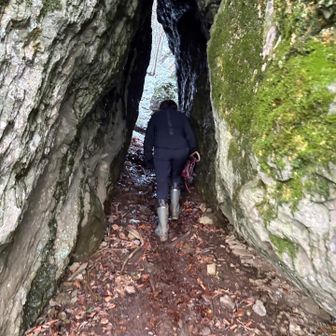 奥の院まであと少し　ごめんね🙇ようこちゃん奥の院まで来てよかった😄有難う。