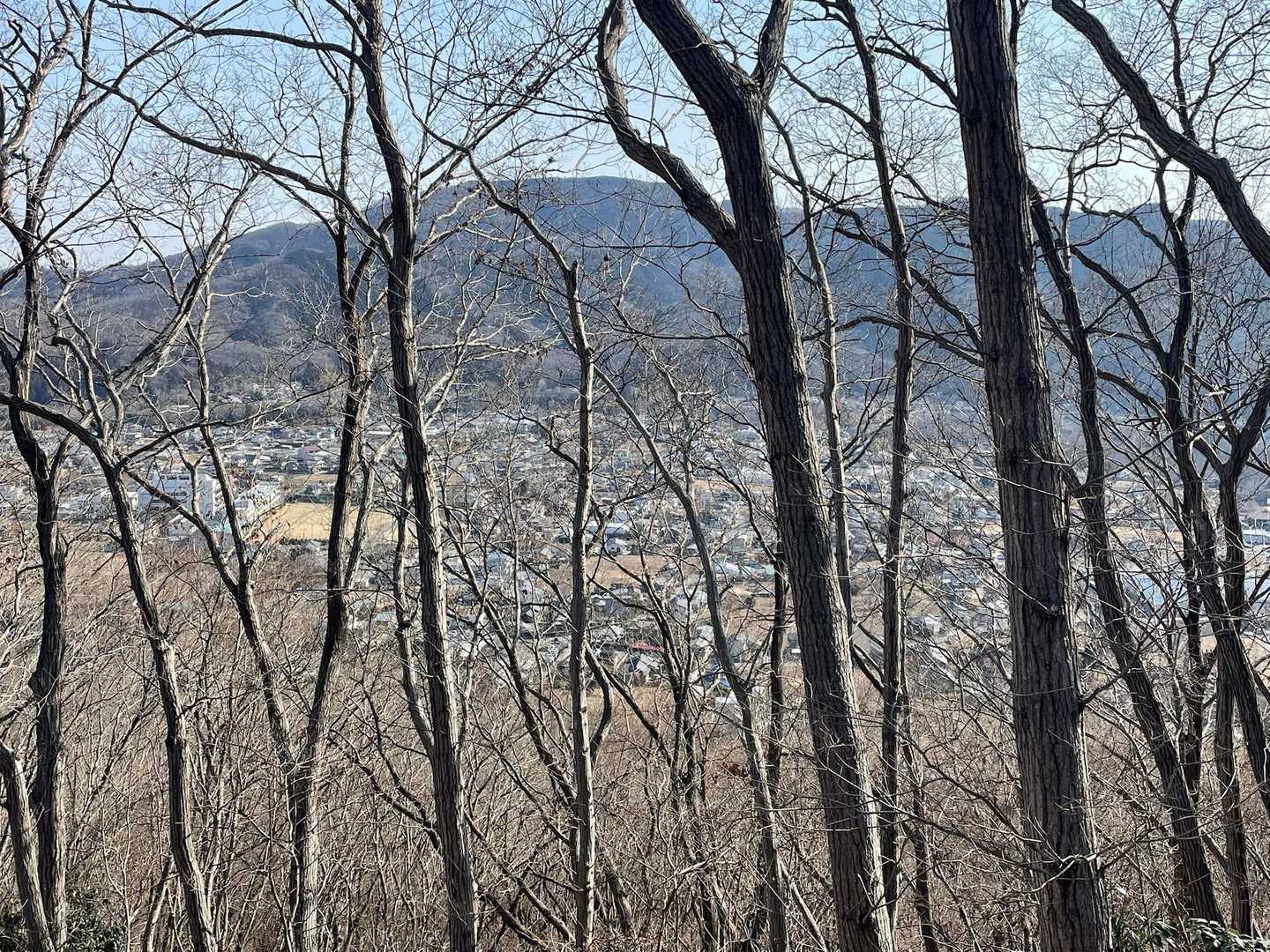 木々の間から街並みが見える。この感じ大好き✨