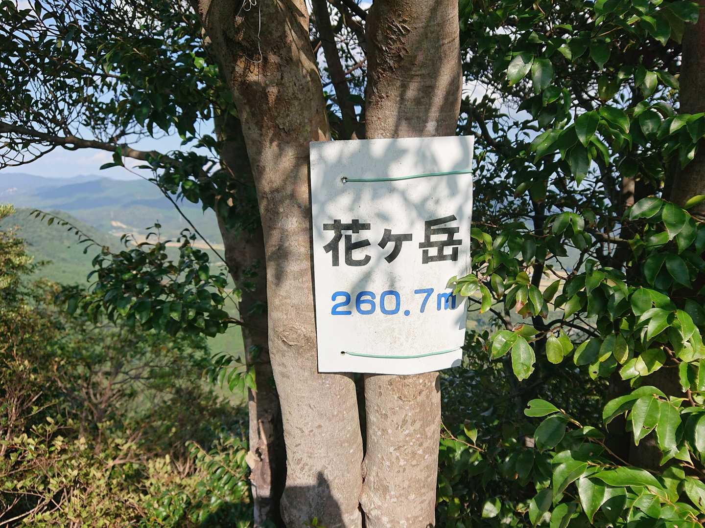 花ヶ岳 往復コースの写真