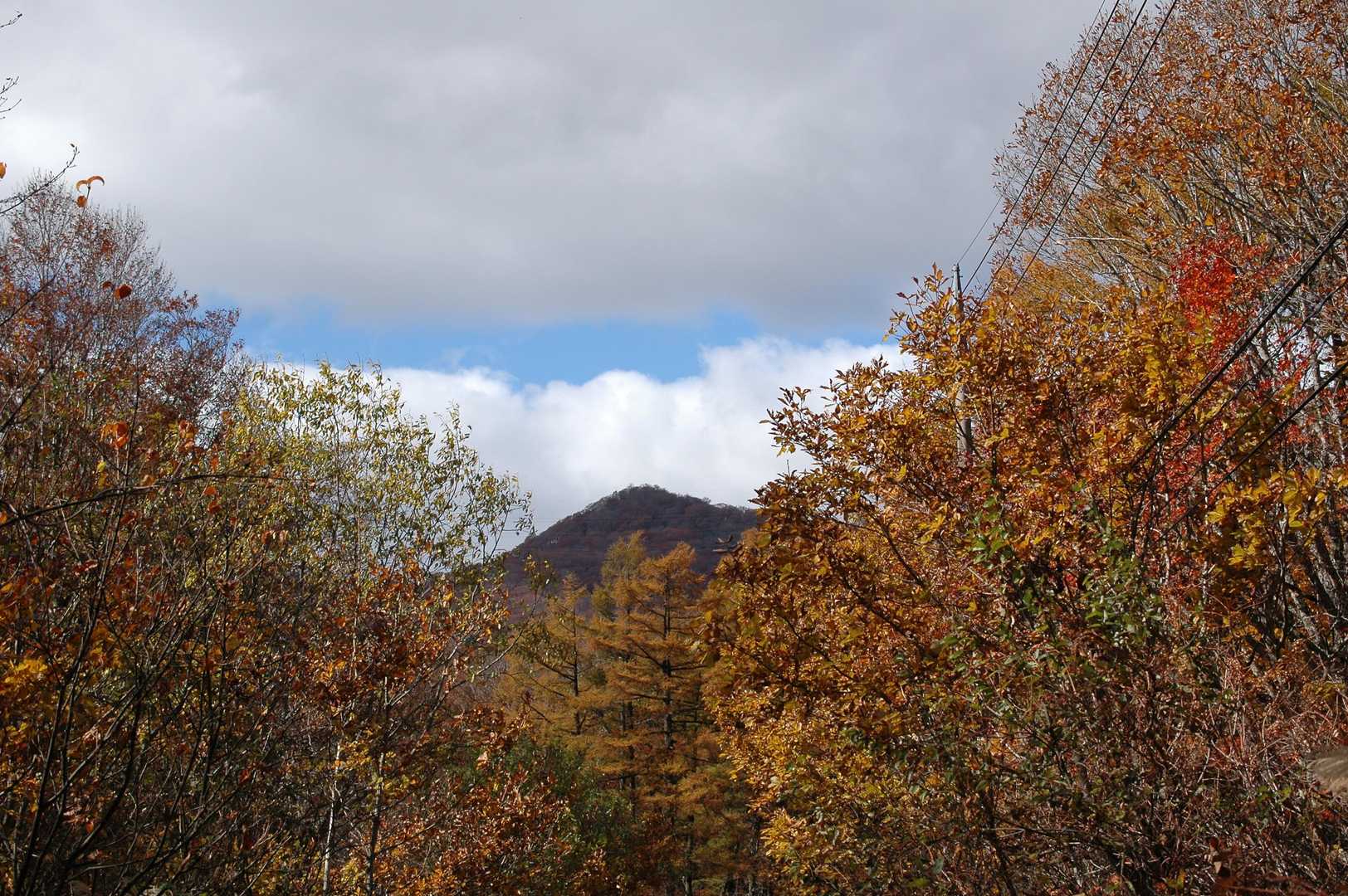 正面見えるのが尼ヶ禿山