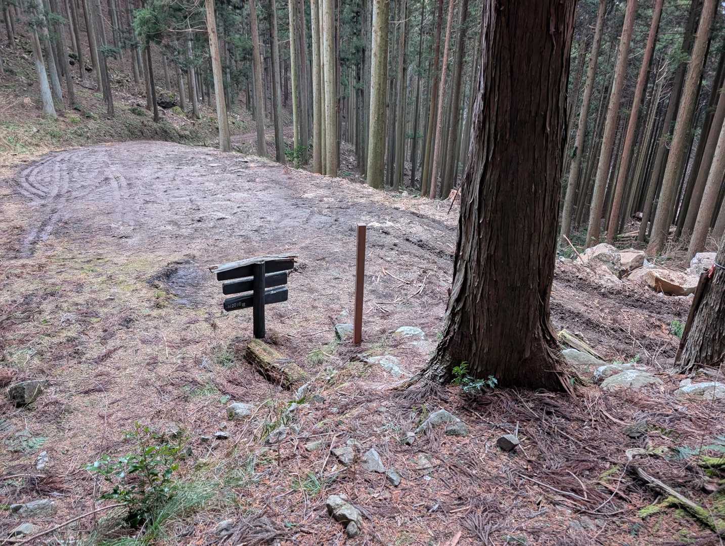 しばらく山頂でゆっくりしてからピストンで下山しました。
ふるさと兵庫100山の山　竜ケ丘でした✨