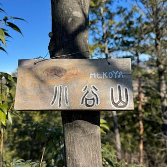 小谷山のピーク