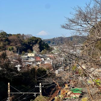 横須賀線の脇に出た。富士山も見えた🗻