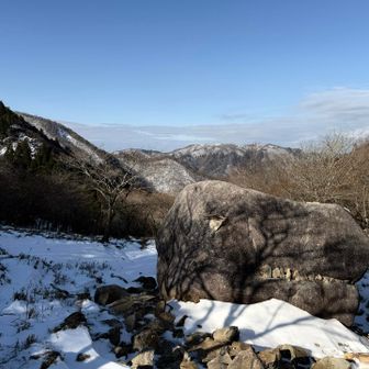 初冬の景色とゴジラ😂
