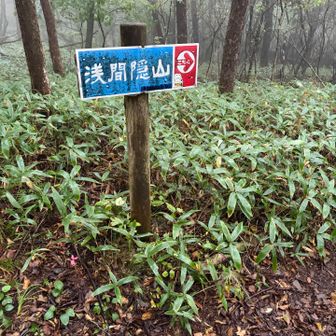 分岐には標識もあります👍