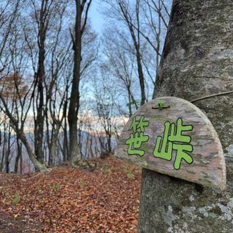 滑る落ち葉を踏みしめながら笹峠