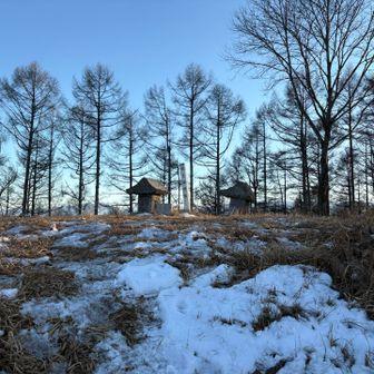 山頂着きました