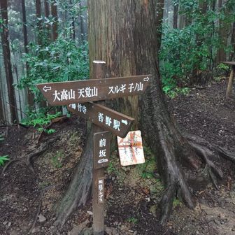 蒸し暑い中、登り上げました。坂というより峠みたいなところ。