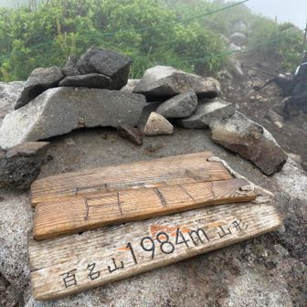 相方に遅れて一人で歩いていると…
ガスで山頂を見逃して神社へ向かっていた私😱
きっと山頂で待ってるよね…💦と逆戻りすると
強風の中、待っておりました