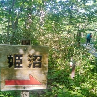 姫沼到着
案内板に150分とあり、のんびりペースから少し早めになる
90分で姫沼へ　数字間違ってる🤔
数ヶ所涸沢を渡り、意外とワイルドな道　マイヅルソウを踏まないように…
春蝉の蝉時雨が半端ない😱