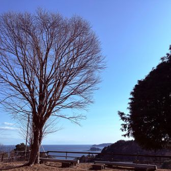 今日も無事に戻って来れました。
ありがとうございました🙏
また来ます🤗
急いで帰らなくちゃ💦😅