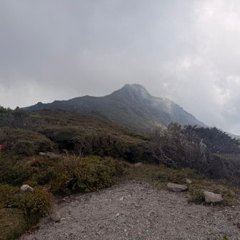 山頂、もうすぐそこ😁