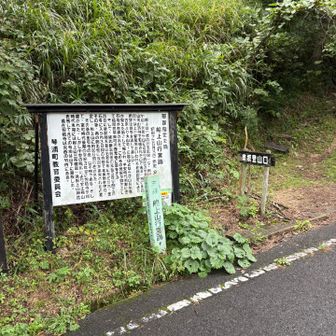 ココから！