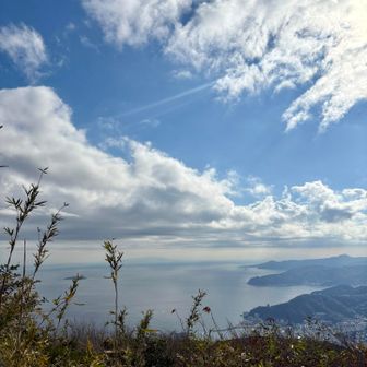 午後は晴れてまずまずのお天気✨