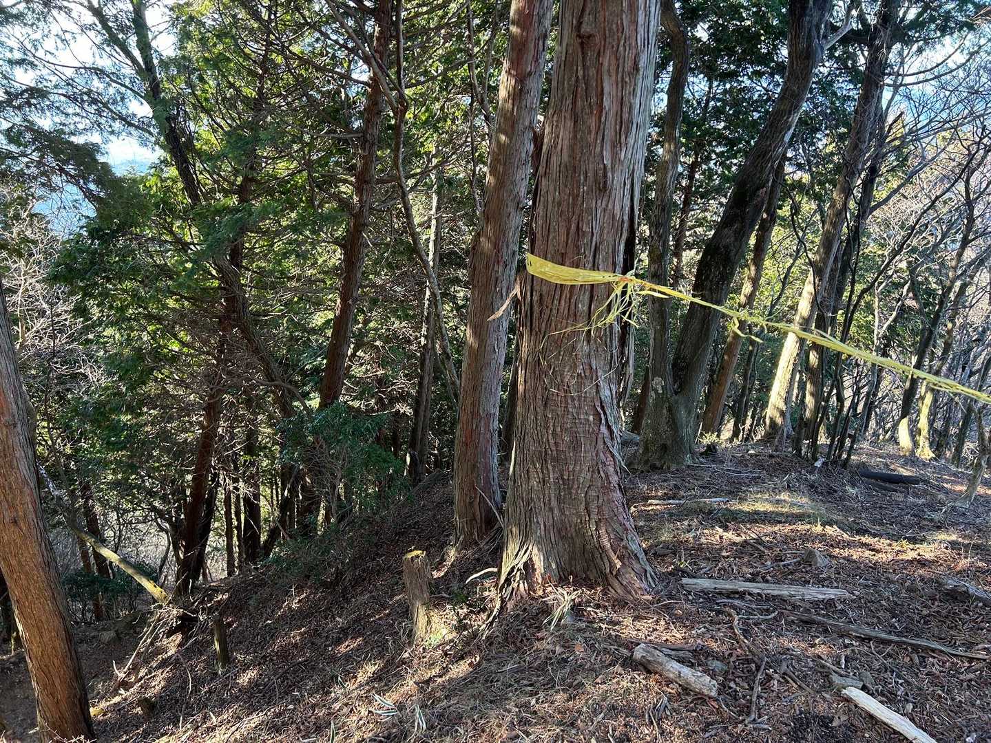 そう言えば以前はこの黄色テープの方に登山道があったわ！
階段が作られて登りやすくなったのよね。