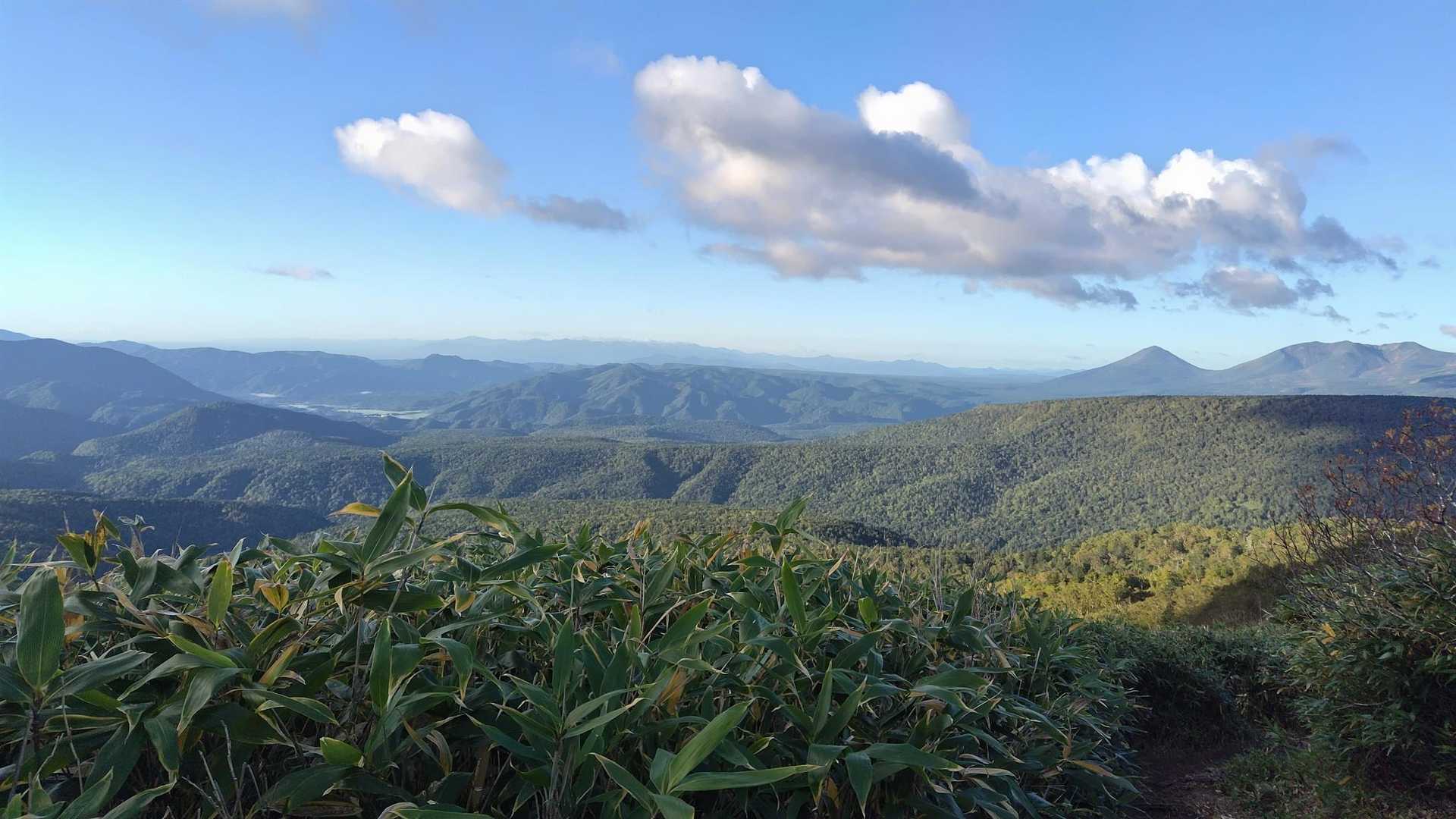 トムラウシ山往復 | 沢沿いと岩の庭園に心癒される神々の遊び場の写真