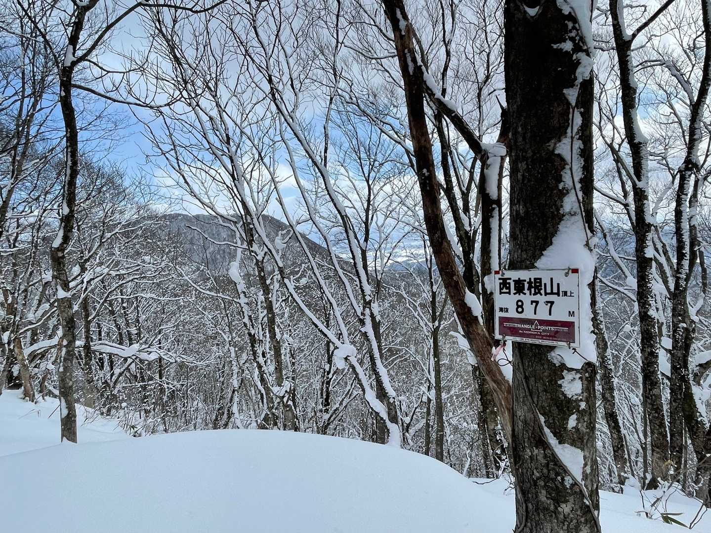 西東根山とーちゃーーーーく❣️
やっと来れてうれしー😊