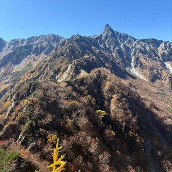 東鎌尾根を詰めて行きます♪