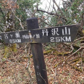 中峰を円山木ノ頭というらしい
