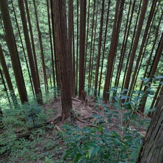 登ります