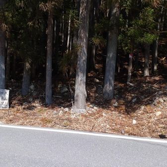 登山口はこちらです