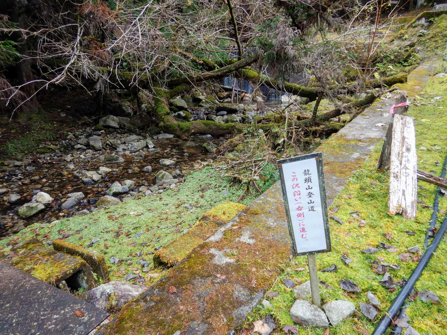 川を渡り、沢に沿って歩くと登山口です。