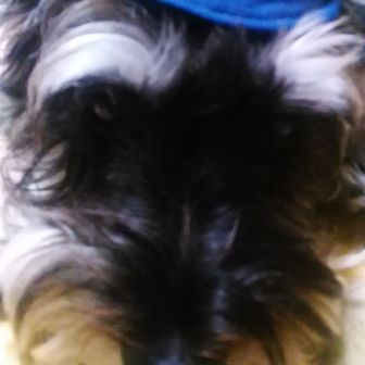 ただのおじさん