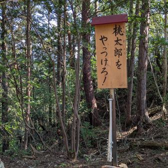 なんだって⁉️