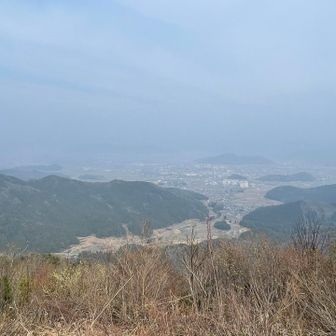 全く見えない🫠　仕方ないか