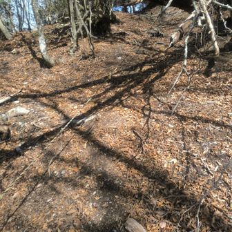 沢谷峠から御在所へ向かう途中、分かりにかった場所。
よく見ればロープあり。

このロ―プを登ったあと、９０度に右側へ。
今回は迷わなかったけど、迷いやすい箇所らしい。
その右側のルートは木の根っこの道。
ルートと分かる道でした。