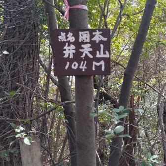 弁天山
標高104ｍ
何だか既に疲労感😖
倒木に塞がれ方向感覚も…
こんなに小さい山なのに、この後
道ズレて下りフェンスに阻まれ
登りなおして来た道を探すことになる😢