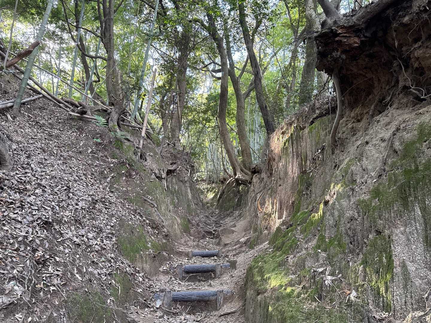 可也山往復 | 地元の遠足の定番。糸島富士の別名を持つ頂から眺める青色の写真