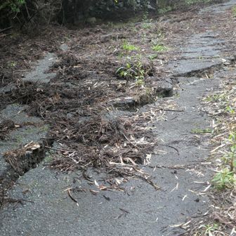 地震の爪痕か。