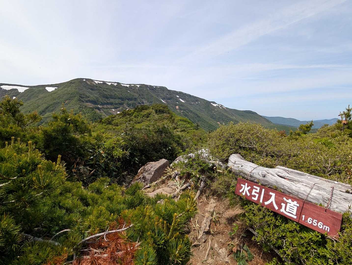 水引入道到着