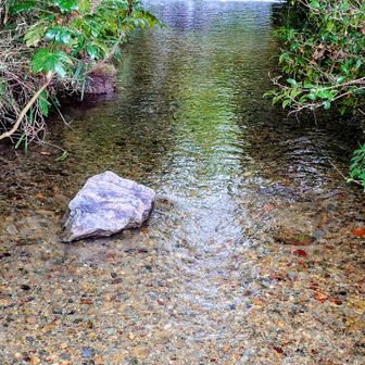 4カ所の残り２ヶ所は、南沢上水施設の中に有るので湧水カ所は見れません、手前の橋からしゃがんで奥を覗くと堰堤から落ちる水が眩しい