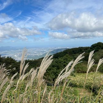 山頂あたりは熊笹広がり眺望よき