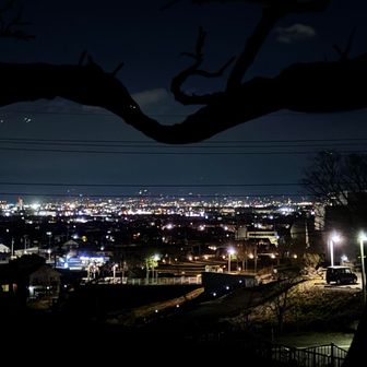 藤の木の枠からの夜景✨